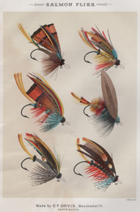 ANTIQUE PRINT OF FISHING FLIES FROM 1892